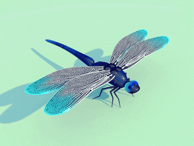 Dragonfly With Blue Eyes On Green GIF