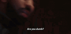 Drake Are You Dumb GIF