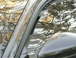 Drake Pull Up Rolling Down Window GIF | GIFDB.com