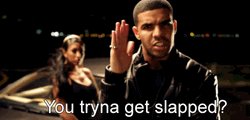 Drake You Tryna Get Slapped GIF