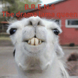 Drama Llama Queen GIF
