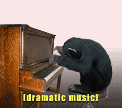 Drama Monkey Playing Piano GIF
