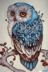Drawing Of An Owl GIF