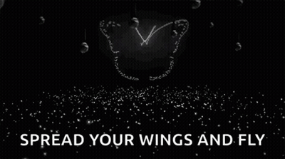 Drawn Butterfly On Black Spread Your Wings And Fly GIF