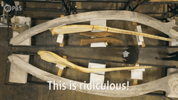 Dream Of The Ridiculous Man GIF