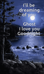 Dreaming Of You Love Good Night GIF
