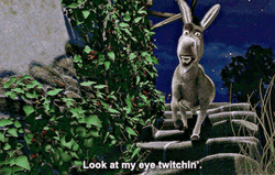 Dreamworks Animation Shrek Donkey Twitching Eye GIF