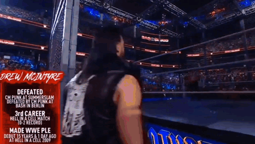 Drew Mcintyre Defeated Cm Punk At Summerslam Defeated By Cm Punk At Bash In Berlin GIF