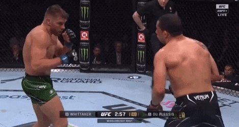 Dricus Du Plessis Weak Opponent GIF