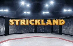 Dricus Du Plessis Wins GIF