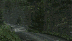 Drift Rally Woods Subaru Smooth Road Driving GIF