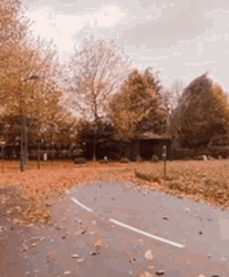 Drifting Car Road Trip GIF
