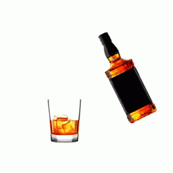 Drink Bottle Bevo Beverage GIF