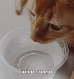 Drink Drink Water GIF