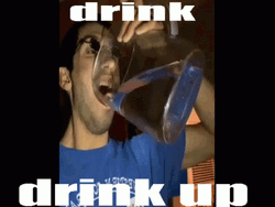 Drink Up Drunk Meme GIF | GIFDB.com