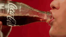 Drinking Coke Bottle Coca-Cola GIF