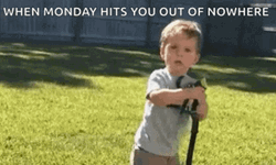 Drinking From A Fire Hose Monday Meme GIF