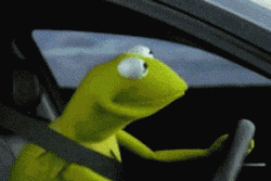 Driving Kermit The Frog 50 Cent Meme GIF