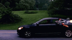 Driving Man Flamethrower GIF