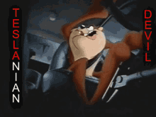 Driving Tasmanian Devil GIF