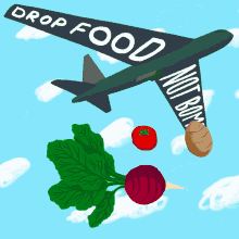 Drop Foods Not Bombs