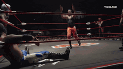 Drop Kick On The Face WWE GIF