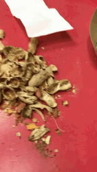 Dropped Peanuts Shell From The Table GIF
