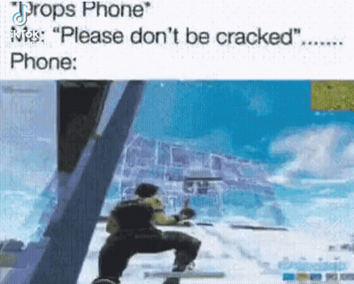 Drops Phone Oh God Pls Dont Be Cracked Video Game GIF