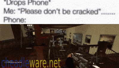 Drops Phone Please Don't Be Cracked Phone GIF