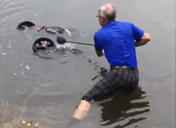 Drowning Cart In River GIF