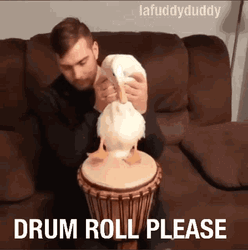 Drum Roll Duck Feet GIF
