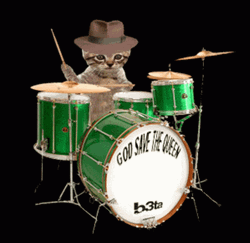 Drumroll Adorable Kitty In Hat GIF