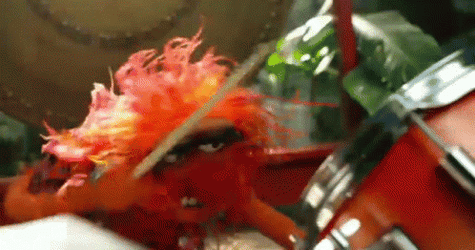 Drumroll Wild Muppet Playing GIF