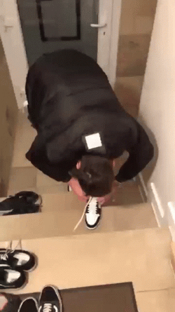 Drunk Guy Fall Of Stairs GIF