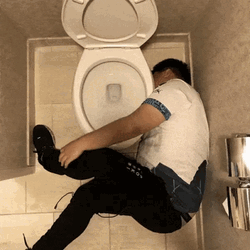 Drunk Guy In Toilet GIF