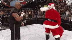 Drunk Santa Attacking Taz GIF