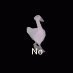 Duck Dance To Say No GIF
