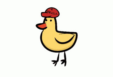 Duck Drinking Busch Light Beer GIF