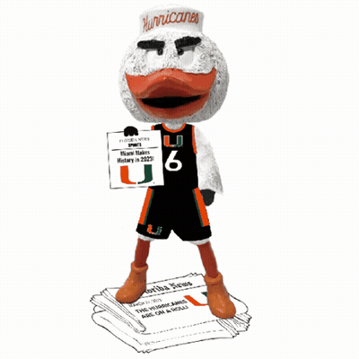 Duck Figurine With Hurricanes Hat GIF