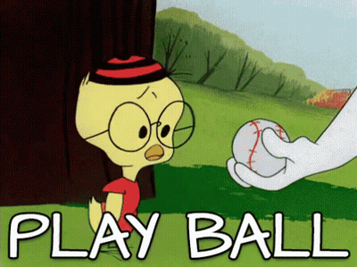 Duck Getting Baseball From Hand Saying Play Ball GIF