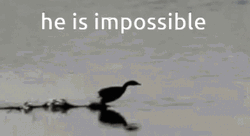 Duck He Is Impossible