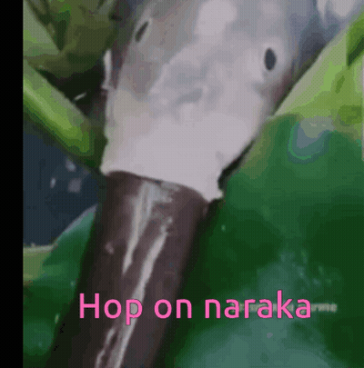 Duck Head Close Up Saying Hop On Naraka GIF