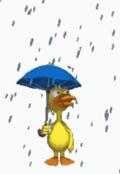 Duck Holding Umbrella In Rain GIF
