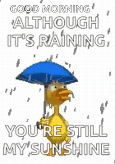 Duck Holding Umbrella In Rain Saying Good Morning GIF