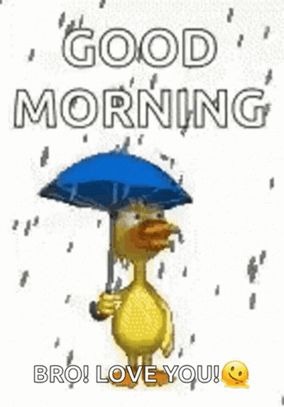 Duck Holding Umbrella Saying Good Morning Bro Love You GIF