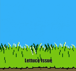 Duck Hunt Lettuce Issue GIF