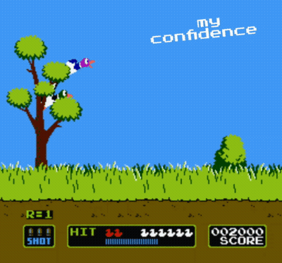 Duck Hunt Video Game My Confidence GIF