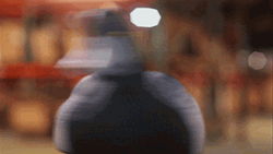 Duck Hunting Bait Rotating GIF