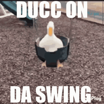 Duck In A Swing Saying Ducc On Da Swing GIF