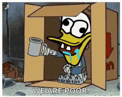 Duck In Cardboard Box We Are Poor GIF